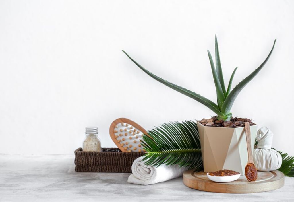 Eco-Friendly Living: Integrating Bamboo Products into Your Lifestyle